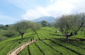 Pj Gubernur Jabar Apresiasi Hadirnya Wisata Kekinian Bobocabin Sukawana