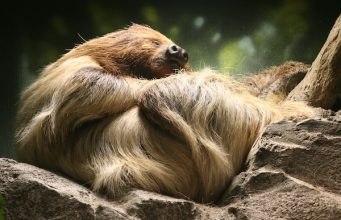 Tautan 8/2/2024 | kapitalisme telanjang