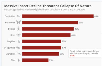Insects: Apocalypse Soon? | naked capitalism