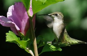 Tautan 11/9/2024 | kapitalisme telanjang