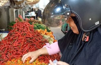 Petani Panen, Harga Pangan di Bangka Turun Saja