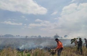 Dampak Kemarau, Karhutla di Majalengka Meningkat