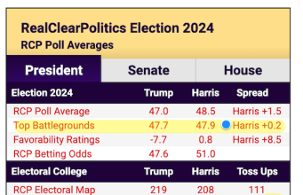 2:00PM Water Cooler 9/19/2024 | naked capitalism