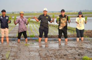 Tak Takut Kekeringan Lagi, Petani Tersenyum Berkat Pompanisasi Bisa Tanam 3 Kali