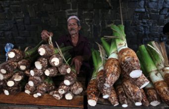8 Manfaat Talas bagi Kesehatan, Bisa Menurunkan Risiko Kanker