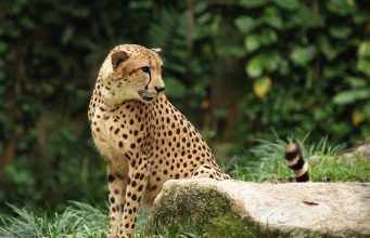 Tautan 9/9/2024 | kapitalisme telanjang