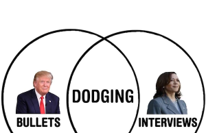 2:00PM Water Cooler 9/17/2024 | naked capitalism