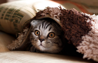 Tautan 10/9/2024 | kapitalisme telanjang