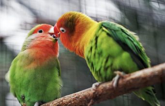 Tautan 3/3/2026 | kapitalisme telanjang