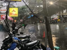 Insiden Pohon Tumbang, Farhan Sampaikan Ucapan Duka dan Instruksikan Kewaspadaan