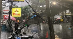 Insiden Pohon Tumbang, Farhan Sampaikan Ucapan Duka dan Instruksikan Kewaspadaan