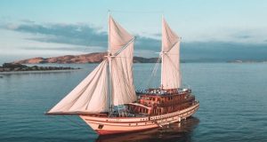 Tekanan Biaya Bayangi Industri Yacht Charter di Indonesia