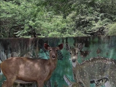 Tautan 13/04/2026 | kapitalisme telanjang