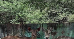 Tautan 13/04/2026 | kapitalisme telanjang