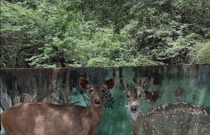 Tautan 13/04/2026 | kapitalisme telanjang