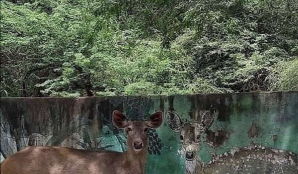 Tautan 13/04/2026 | kapitalisme telanjang