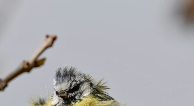 Tautan 18/04/2026 | kapitalisme telanjang