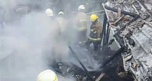 Diduga Lalai Bakar Sampah, Puluhan Kambing untuk Iduladha Hangus Terbakar