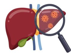 Tanpa Gejala Awal, Hepatitis Kronis Berisiko Fatal bagi Hati
