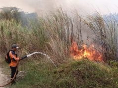Belasan Karhutla Terjadi di Majalengka