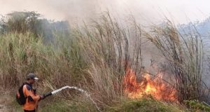 Belasan Karhutla Terjadi di Majalengka