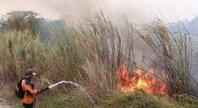 Belasan Karhutla Terjadi di Majalengka